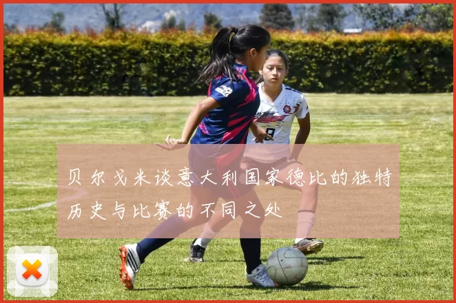 贝尔戈米谈意大利国家德比的独特历史与比赛的不同之处